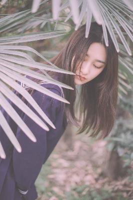 免费看樱花影院电视剧？这5部热门剧你不能错过！